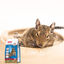 Beaphar Care+ Ração para degus, , large Indicador imagem número 4